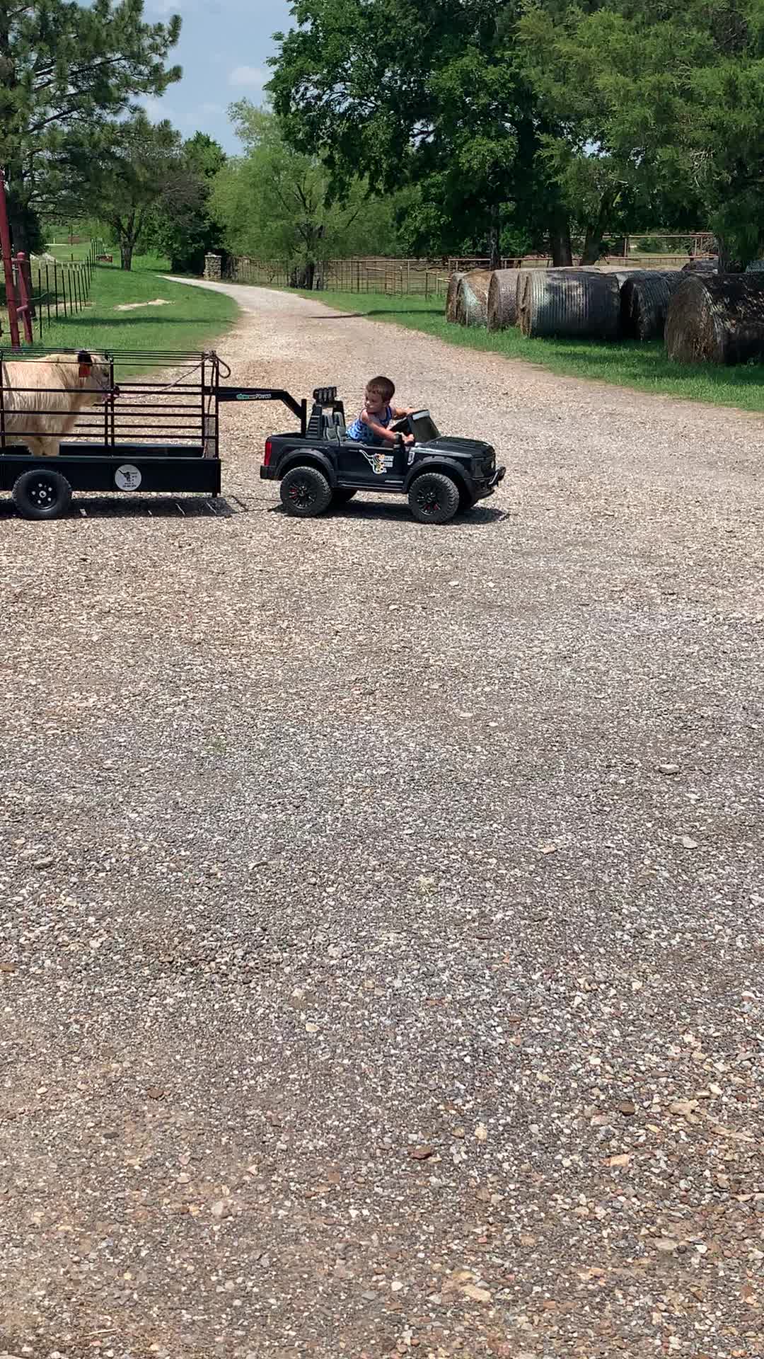 @Manley Cattle Co.