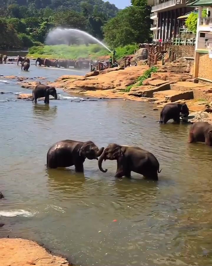 @Sri Lanka