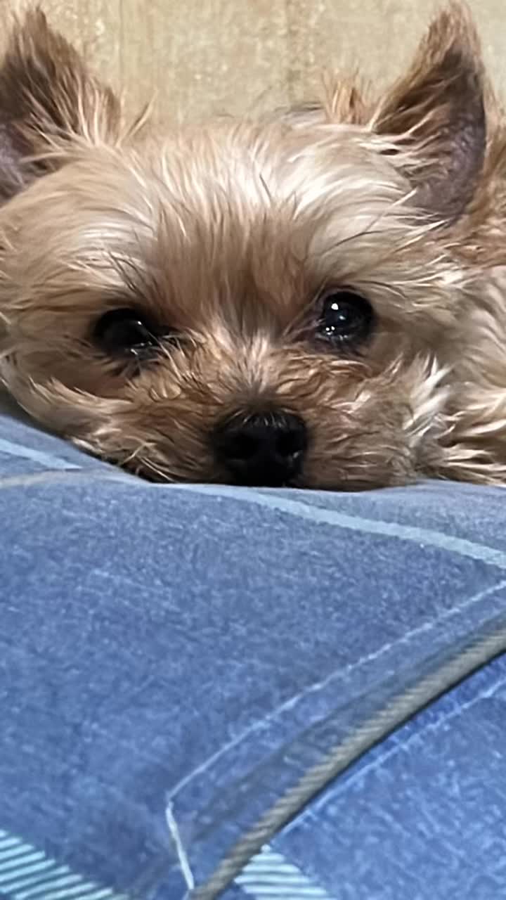 @가시나야 좋아한데이 😍