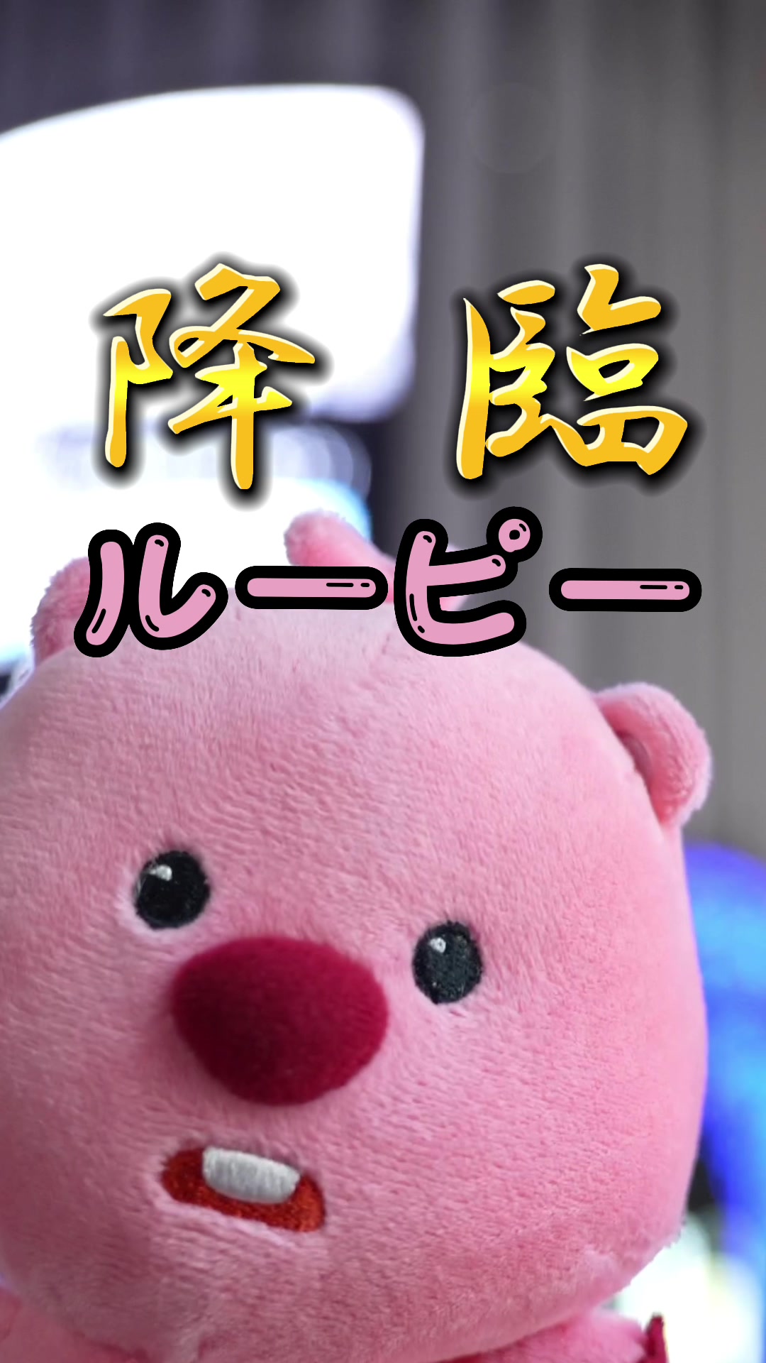 @ルーピー|2月10日ポップアップ