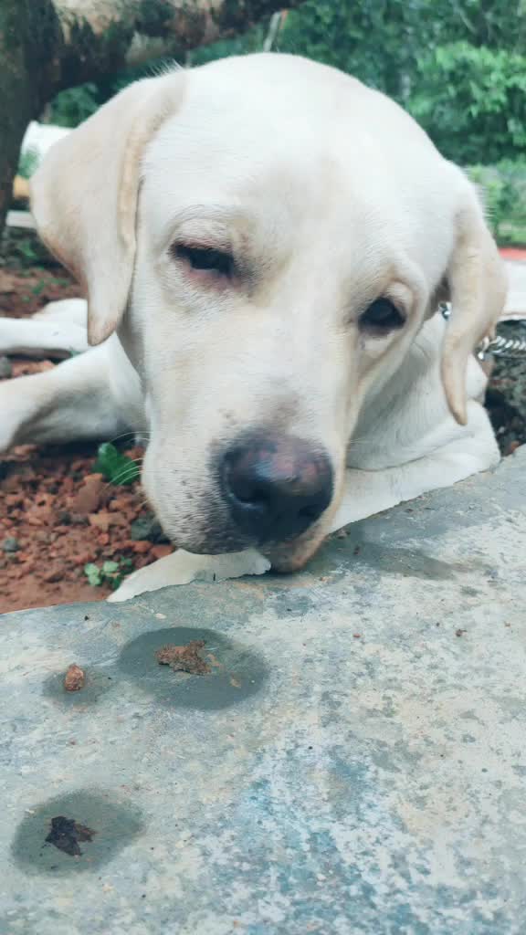 @Akhil Krishna