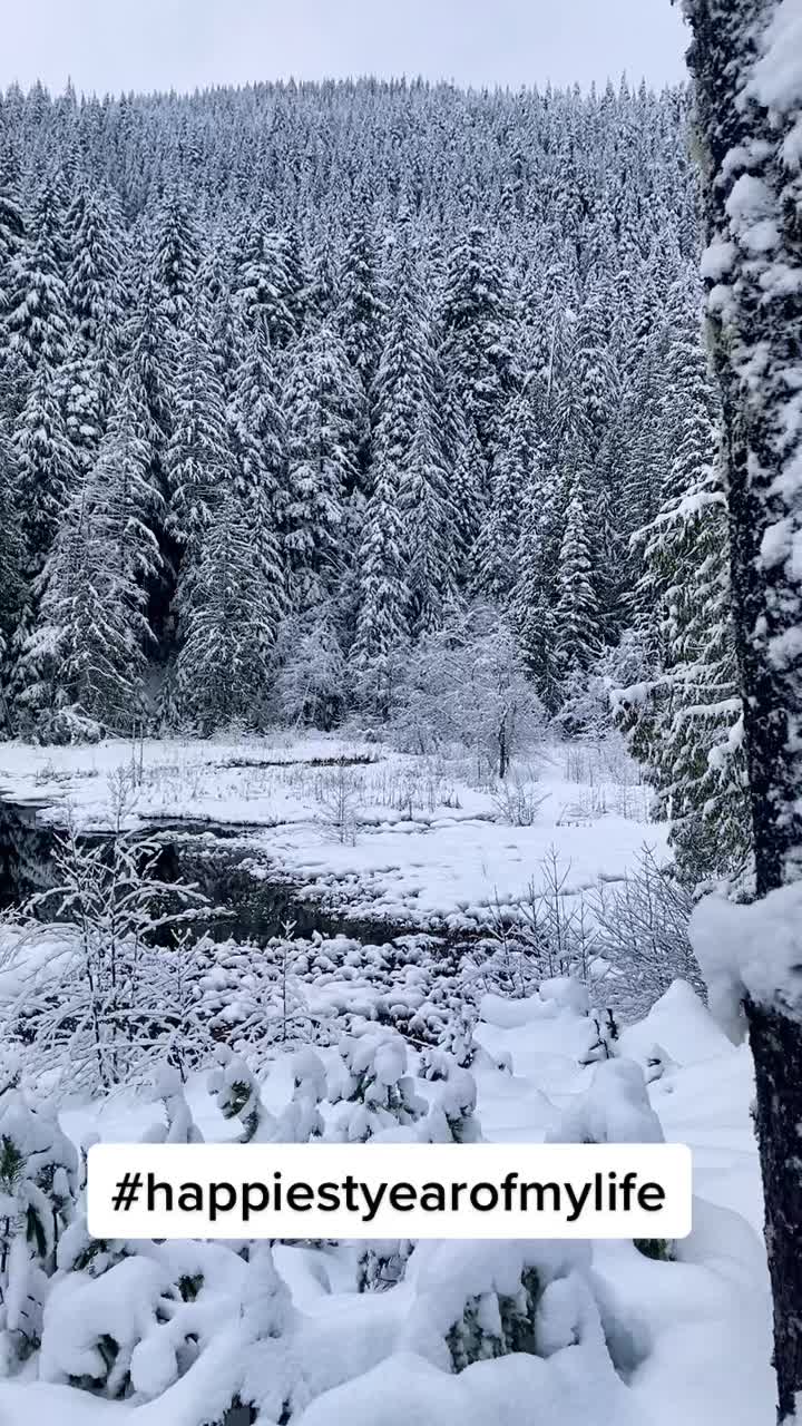 @TheDenmarkFamily
