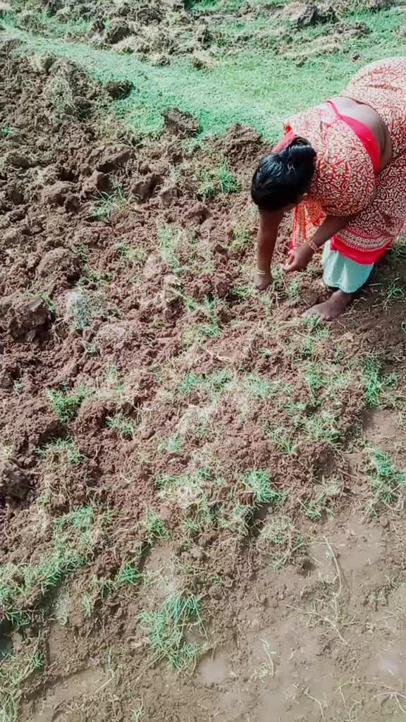 @manikaruna