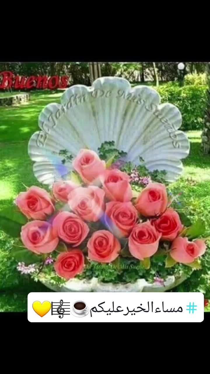 @زهرة المغرب