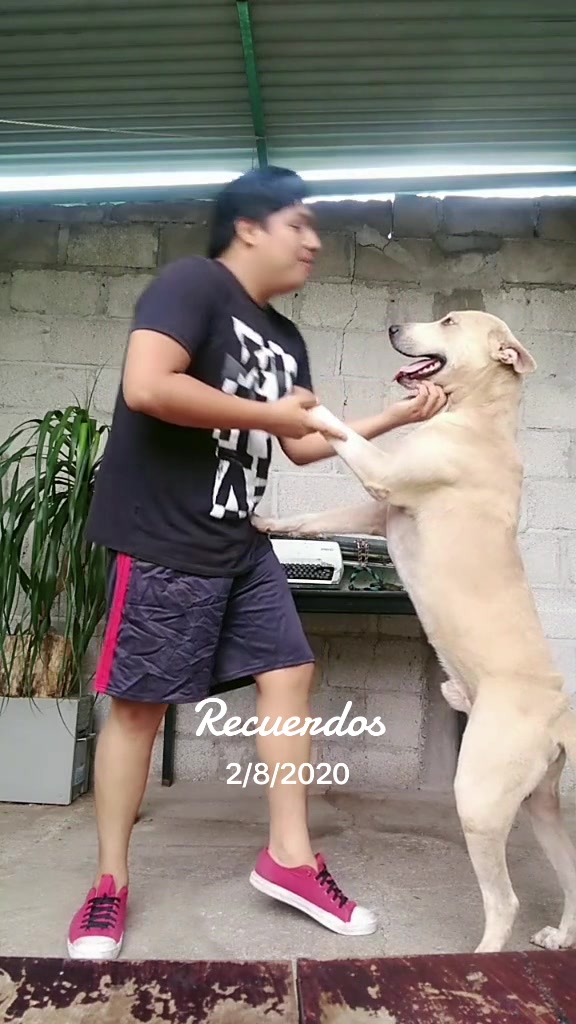 @Quique Gonz&aacute;lez 🦷🦁🙊