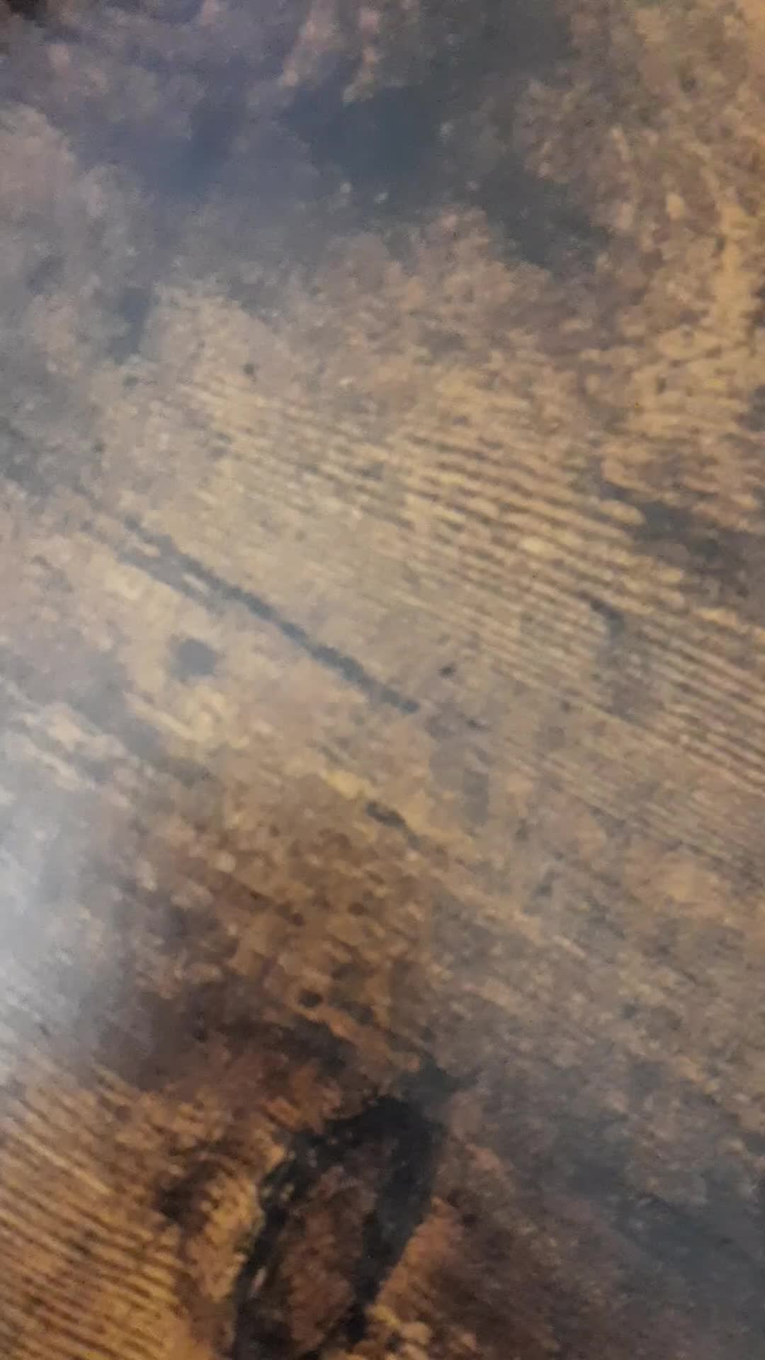 @Cut Vinyl