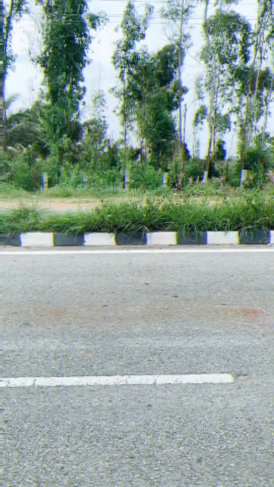@Kiccha Kowshik