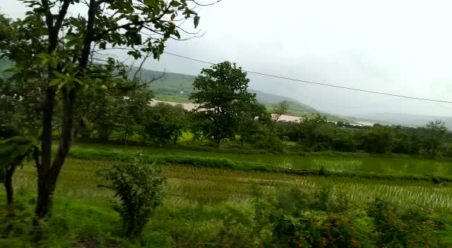 @priti Gaikwad
