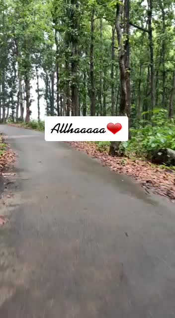@Tayyabi khan 💖