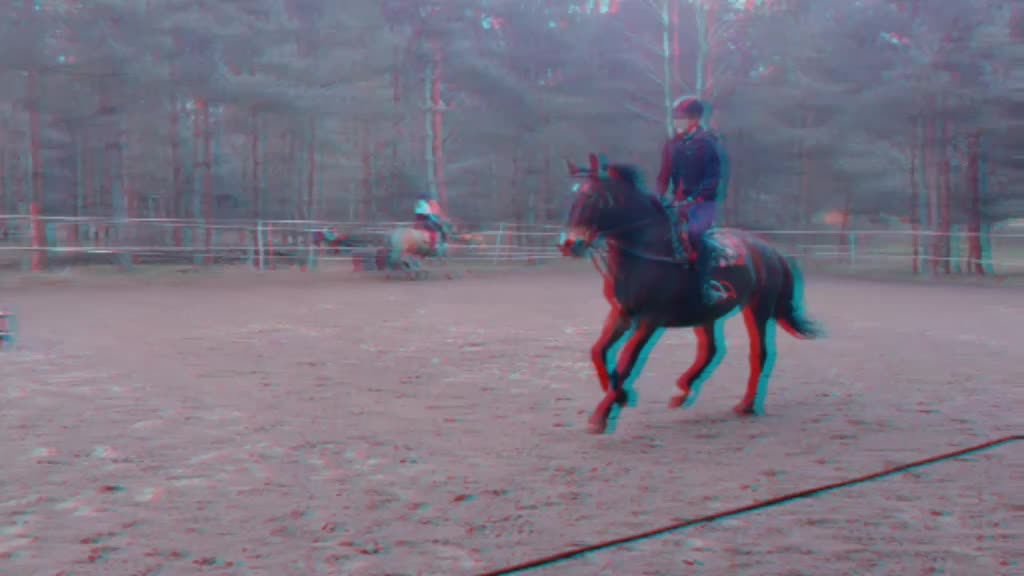 @Końska Grupa🐎