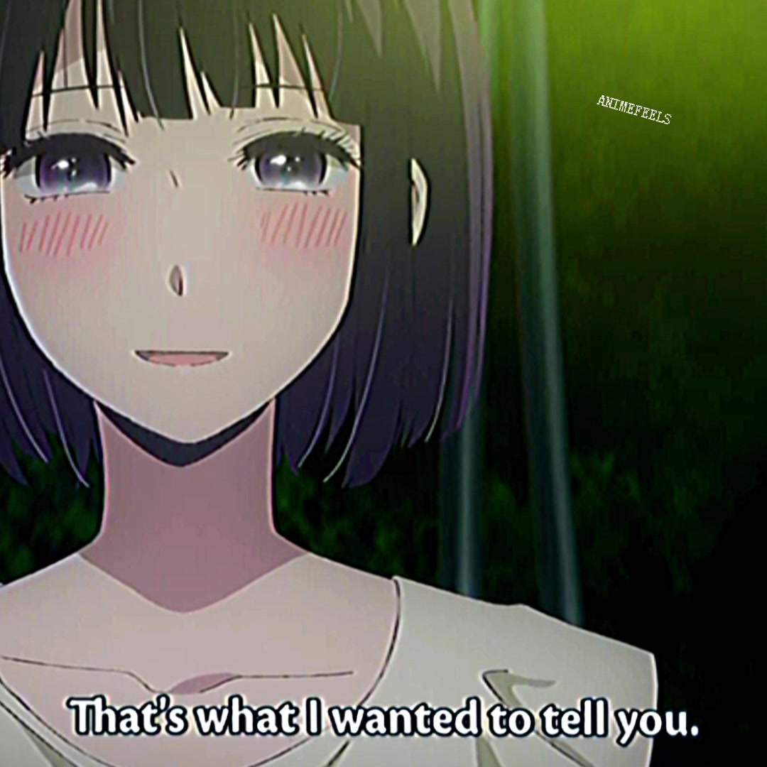 @Anime Feels