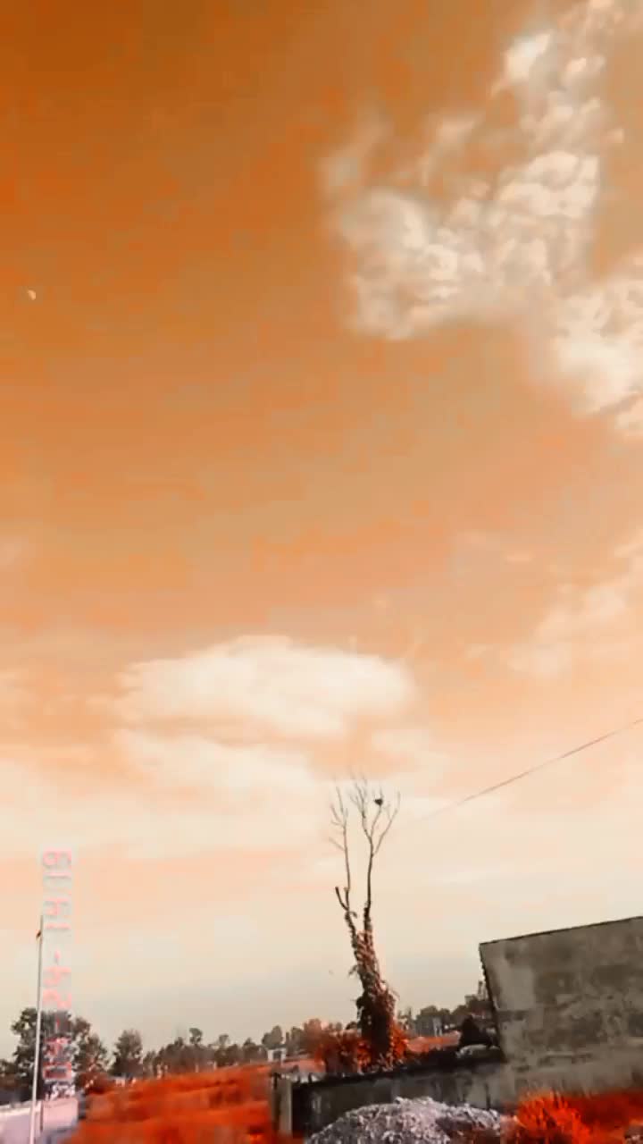 @ㅉㅏㄴ더너ㄲ마러 이사사