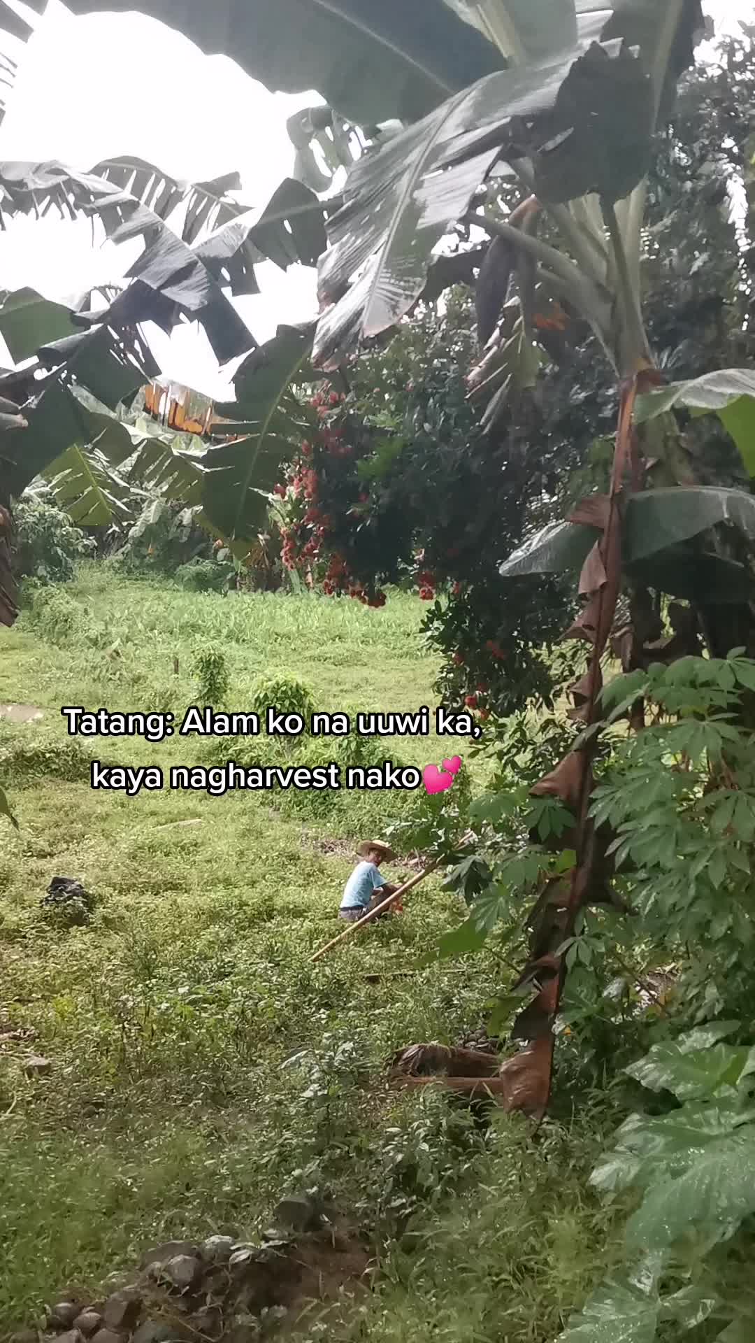 @MA.my Lec 🤱
