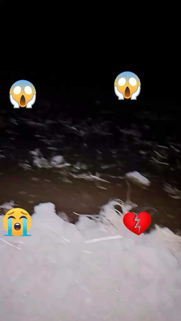 @user7305401578749
