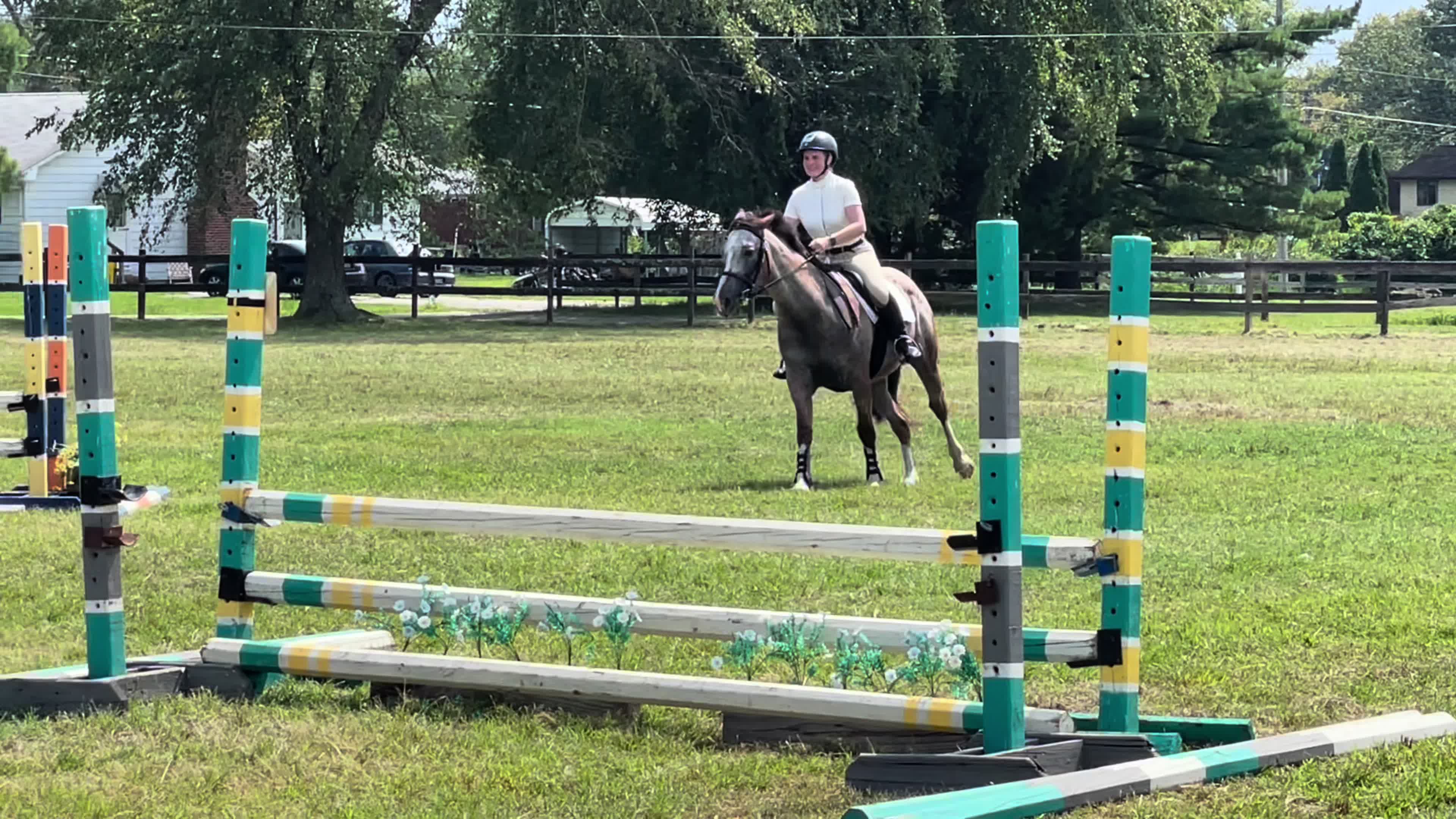 @Equestrian 🐴🐎