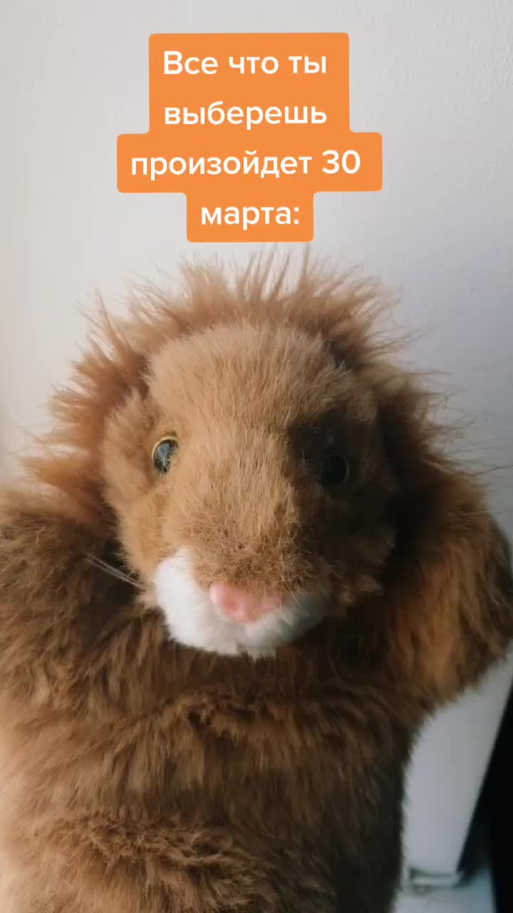 @Львенок Симба