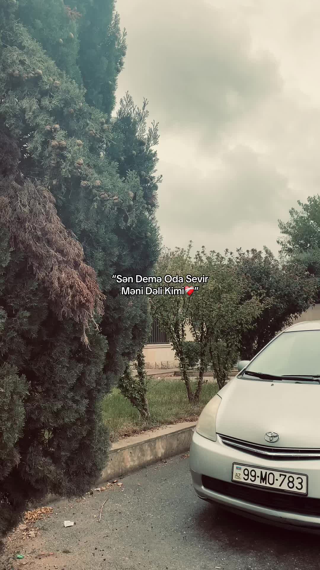 @._SALMANOFW⚡