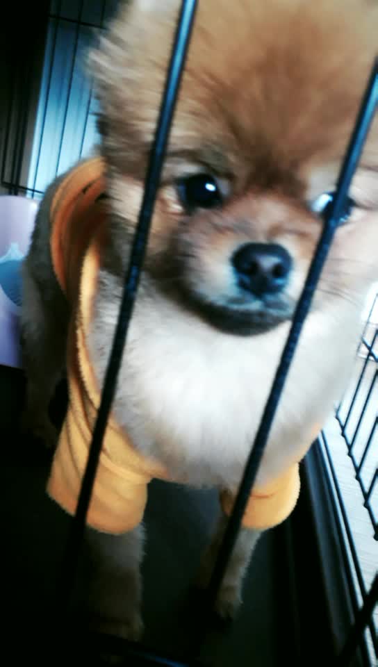 @콩