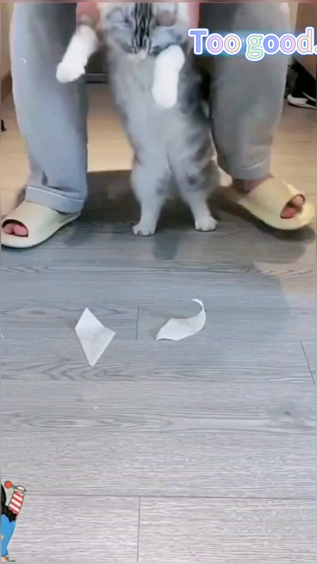 @xiaotwile3t