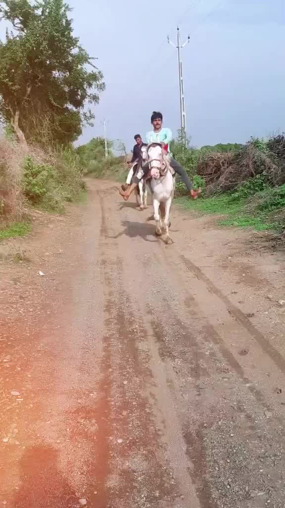@Sohil Desi