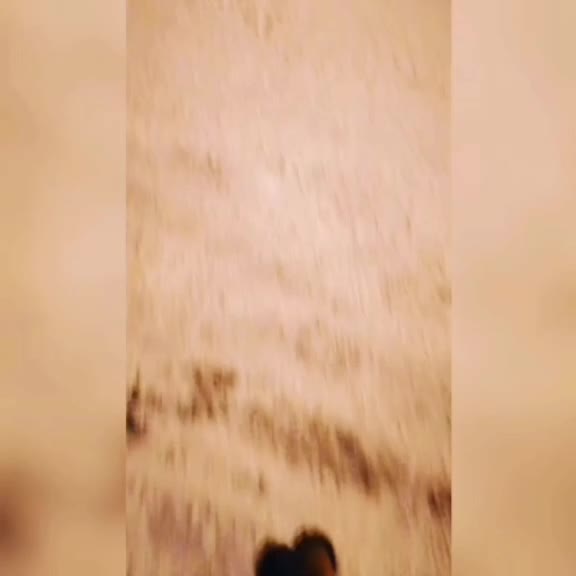 @Лика😇