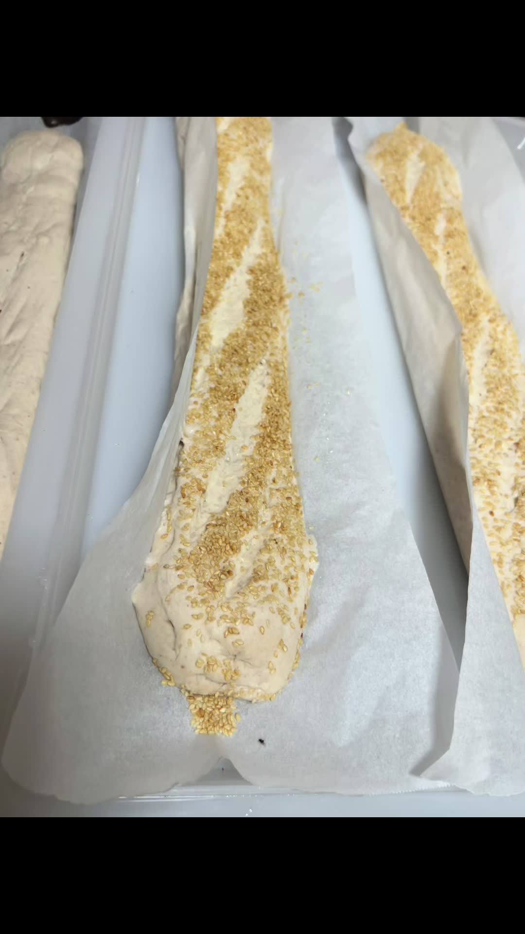 @SourDoughBrooo