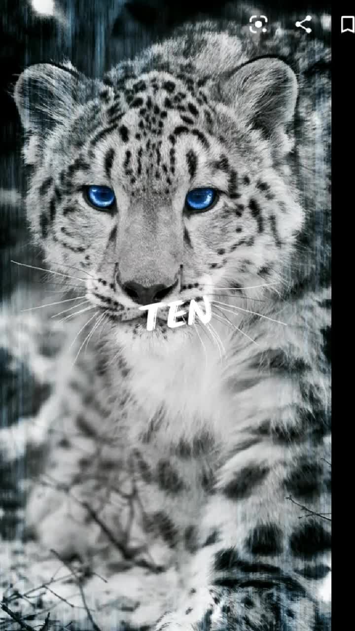 @user4070396009381