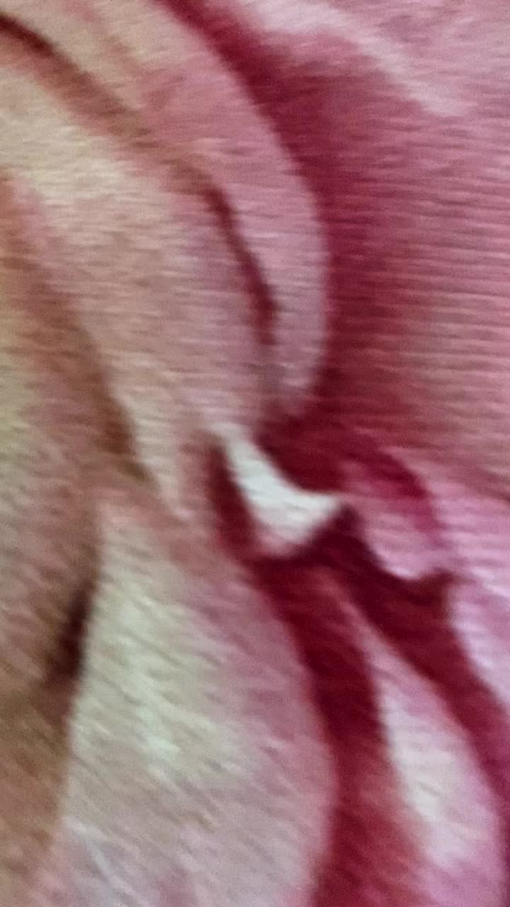 @Isayan