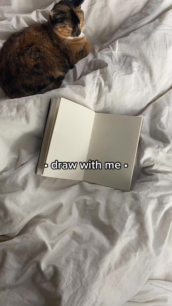 @drytdraw