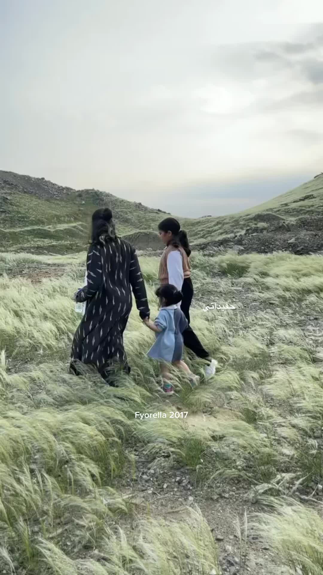 @Fyorella