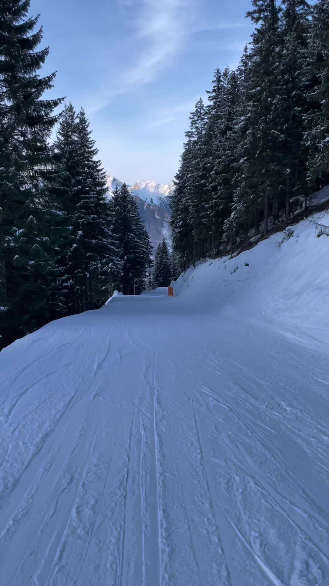 @Bettina Böszörményi