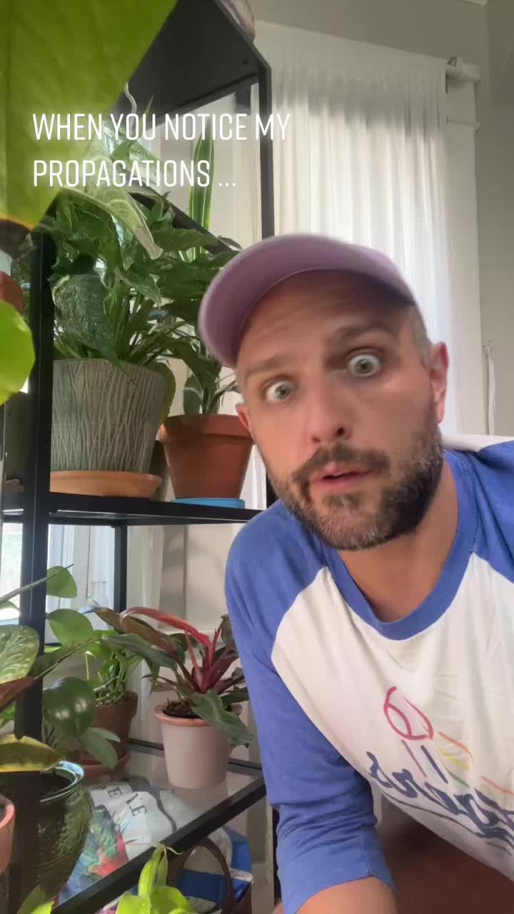 @PlantWaif