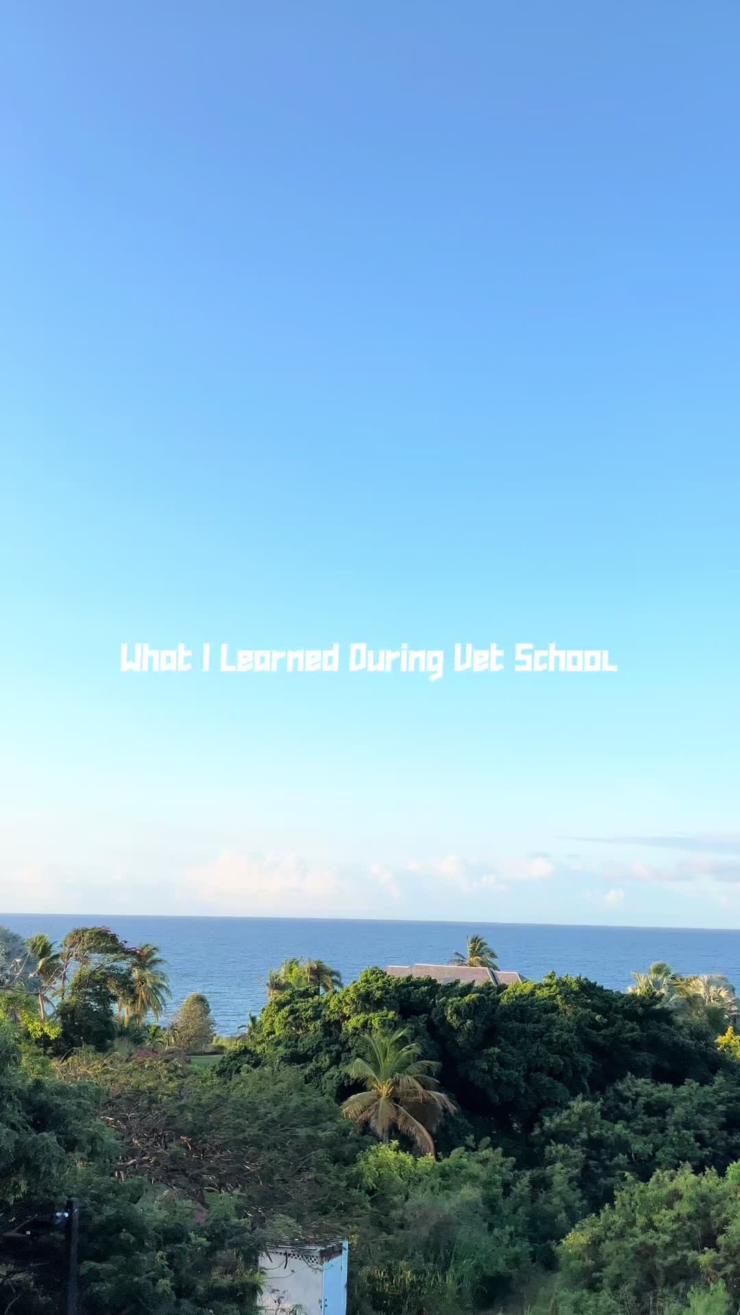 @lau
