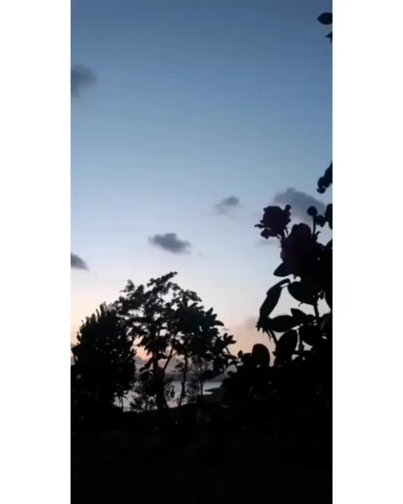 @asya_pirdali