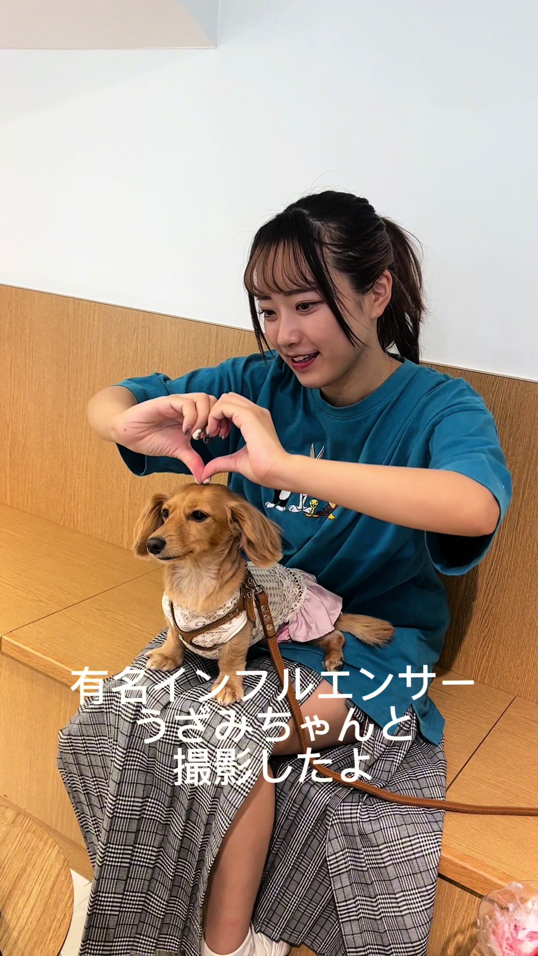 @wanwanカフェ物語