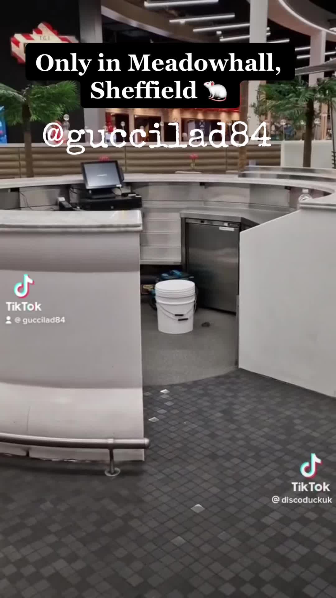 @Guccilad84