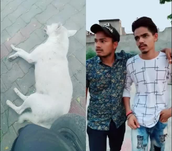 @SALIM MALIK