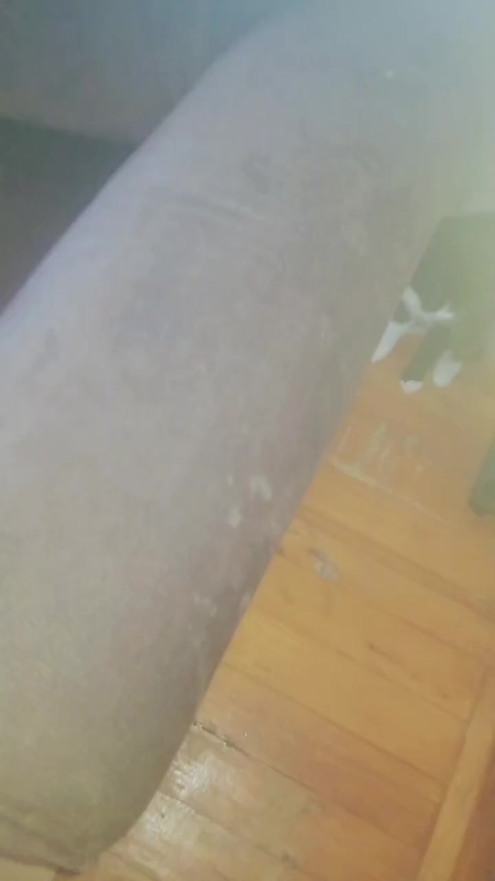 @kitten