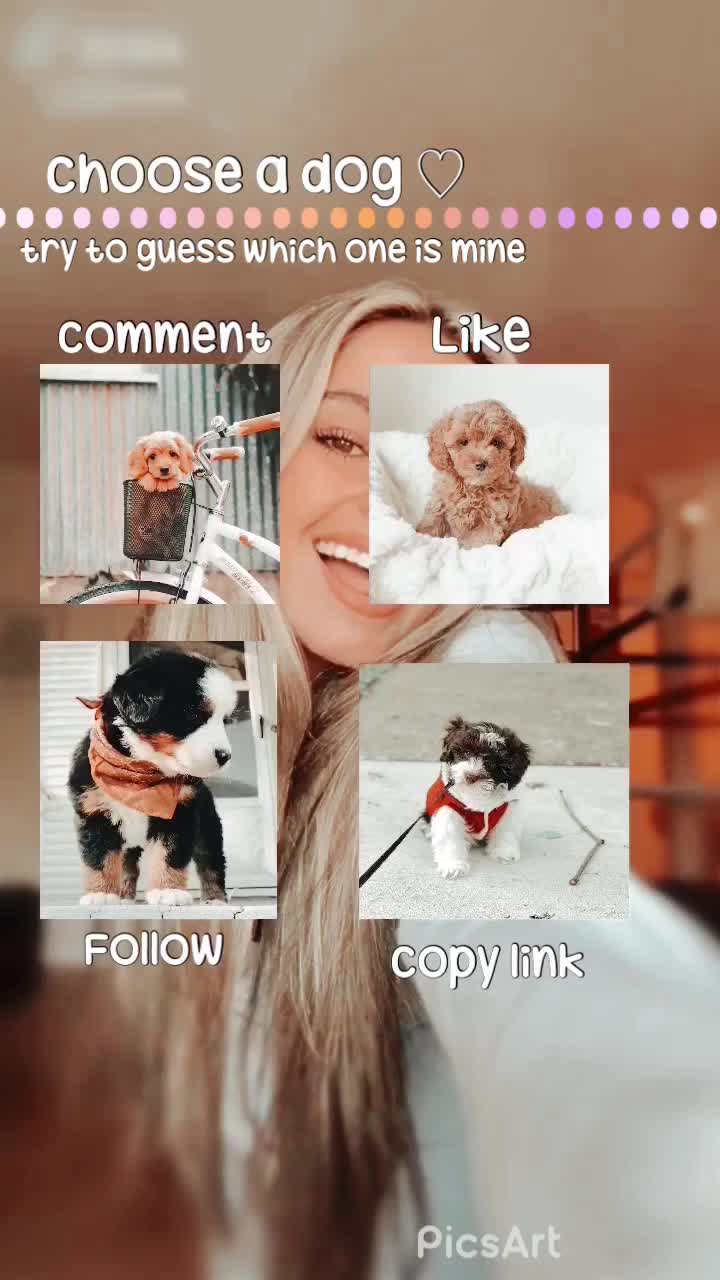 @𝔽𝕠𝕝𝕝𝕠𝕨𝟜𝕗𝕠𝕝𝕝𝕠𝕨 ♡︎