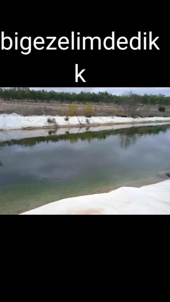 @user34168534367087a