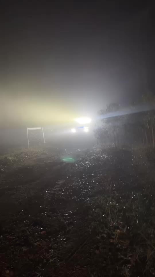 @Tyler Lange