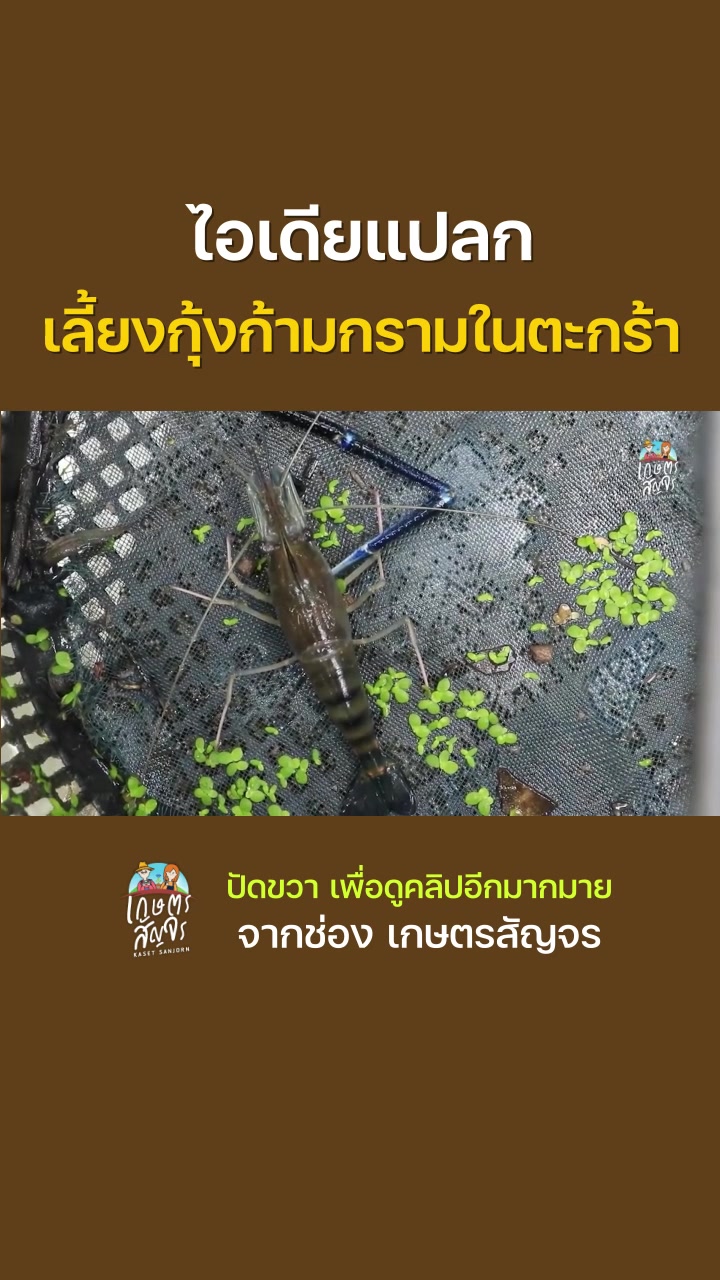 @เกษตรสัญจร