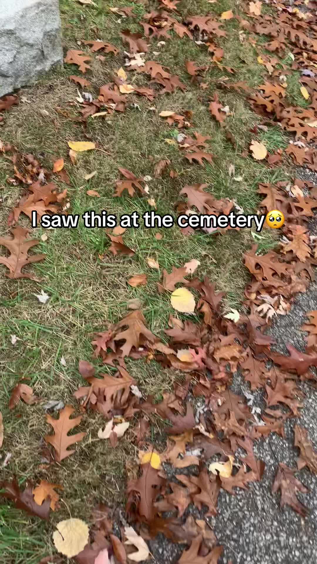 @ShareTurningHearts