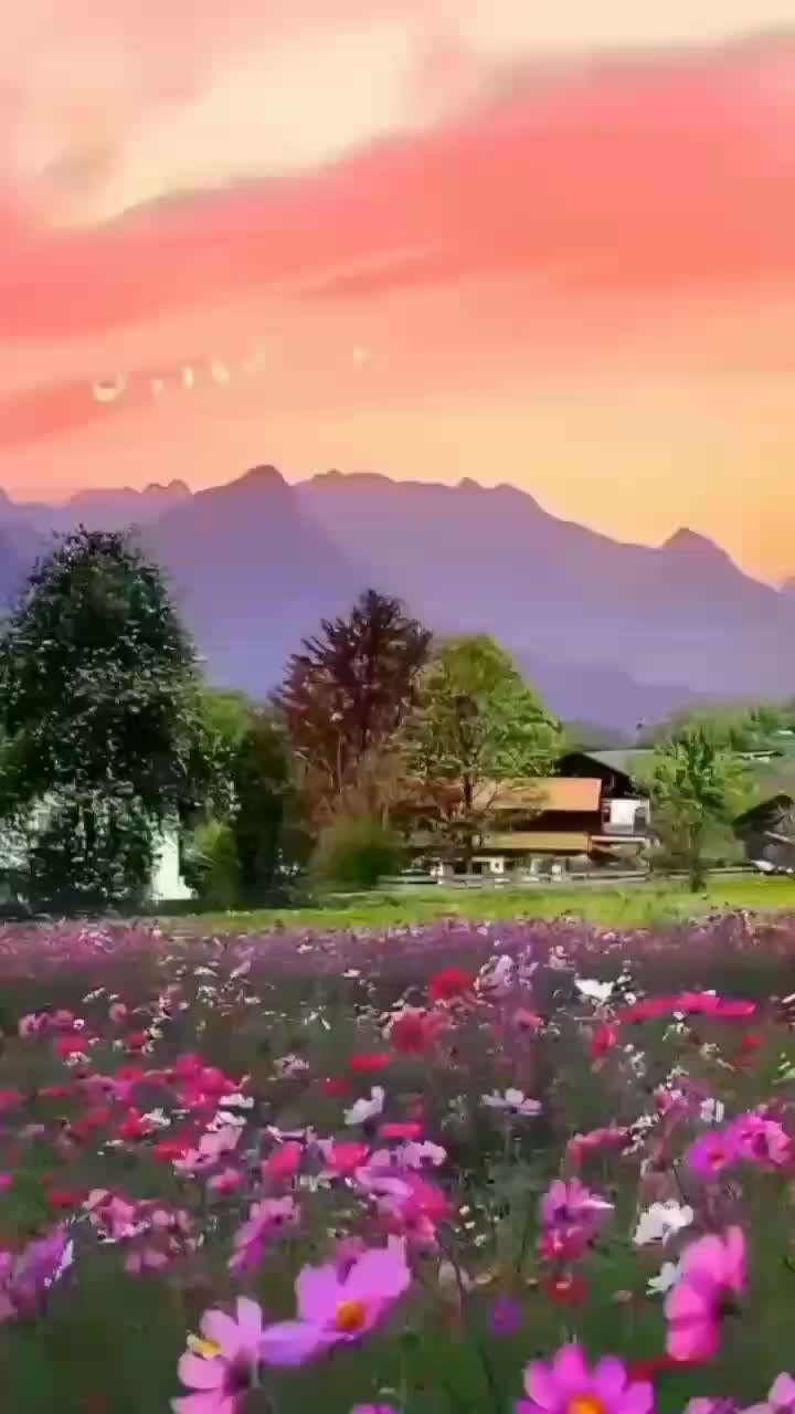 @jesus