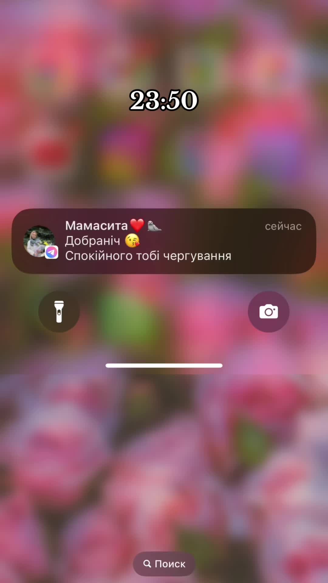 @Inna🕷️