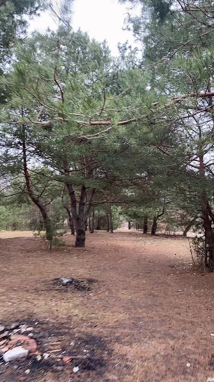 @shoskazall