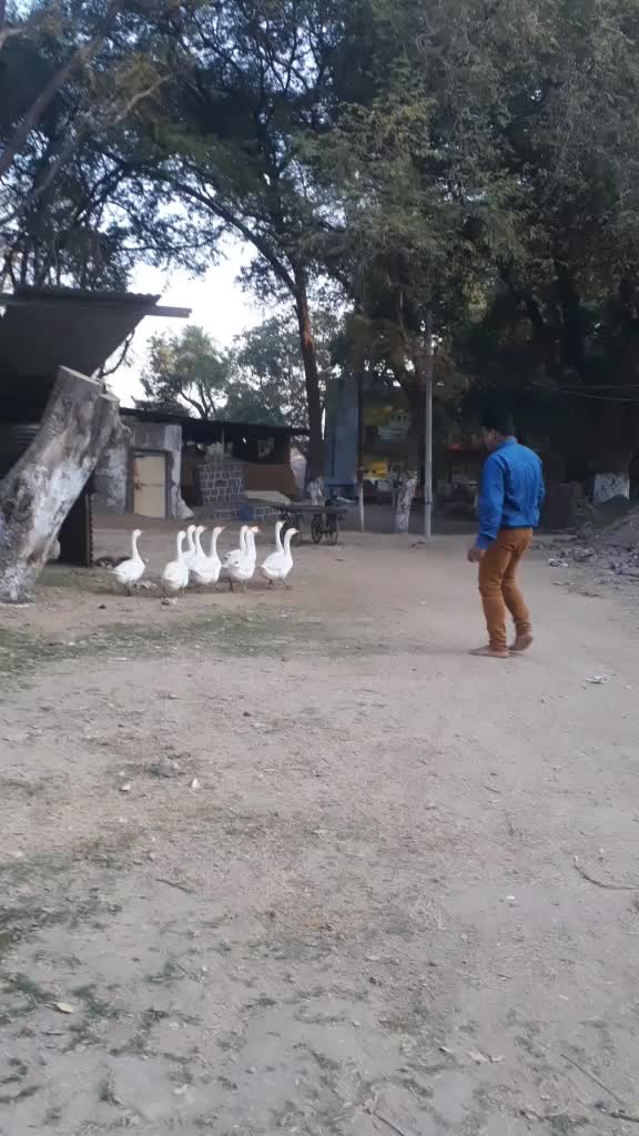 @nirajraghu1c
