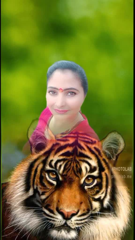 @anita dev650