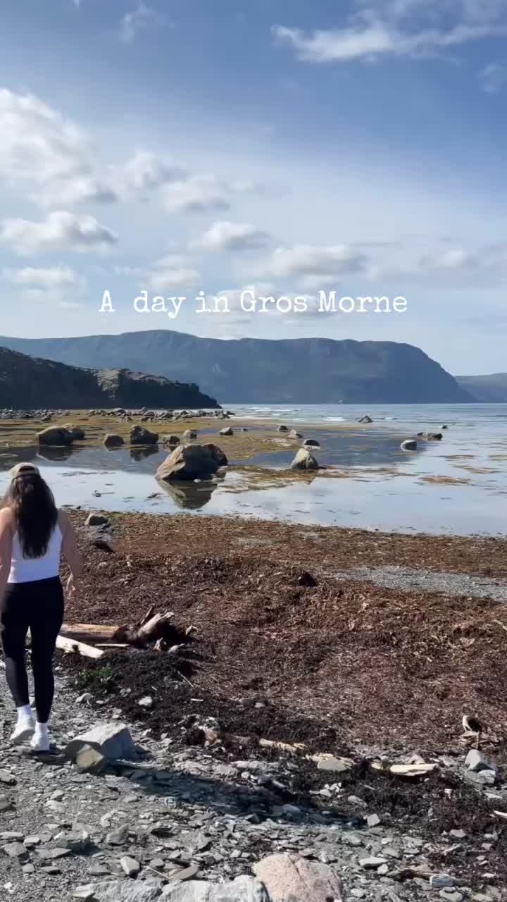 @blue.meadows