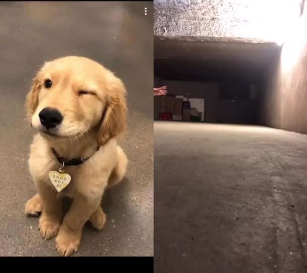 @jesuisunchienlol